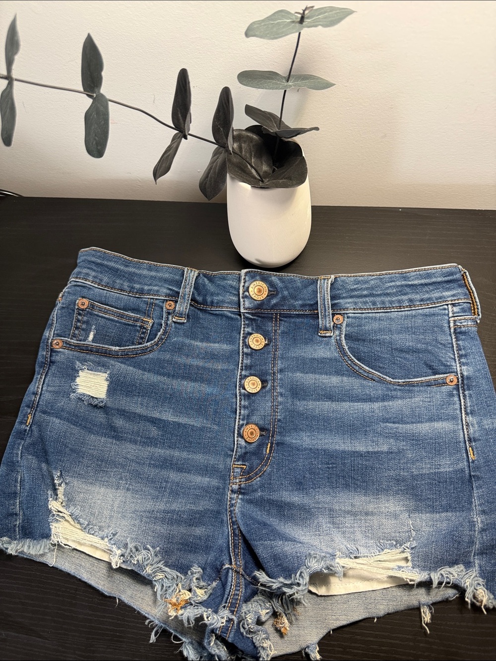American Eagle Outfitters Distressed Dark Wash Denim Jean Shorts